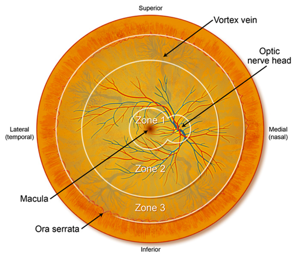 Question 15 Opportunistic Infections Treatment Question Bank