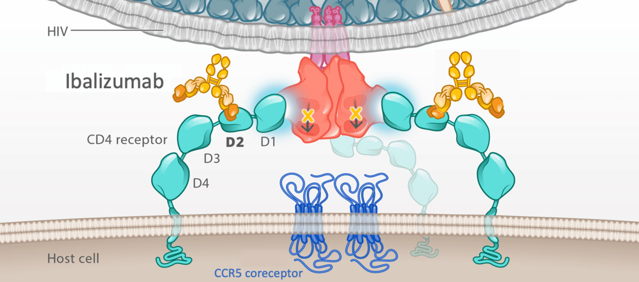 Core Concepts - Antiretroviral Medications and Initial Therapy ...