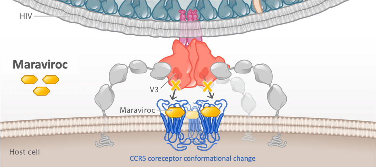 Core Concepts - Antiretroviral Medications and Initial Therapy ...