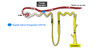 Approximately 15% of creatinine is actively secreted into the urine by the proximal tubule. Dolutegravir can inhibit the urine organic cation transporter 2 (OCT2), a protein involved in renal tubular secretion of creatinine.